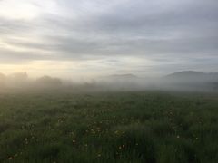 -塞罕坝国家级自然保护区