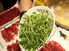 -今日牛事潮汕鲜牛肉火锅(瑞金店)