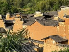 -杨家堂村
