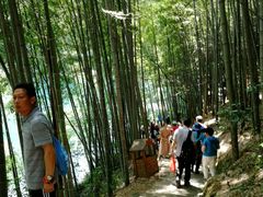 -祁门牯牛降观音堂风景区