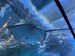 -太平洋海底世界