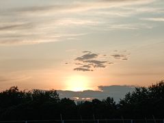 -两河城市森林公园