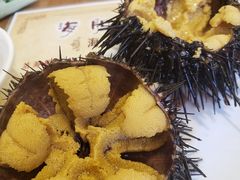 -海胆小馆(东北水饺·春柳店)