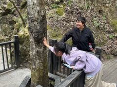 -牛背梁国家森林公园
