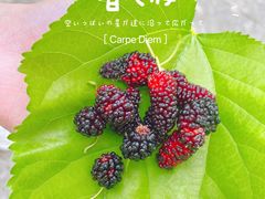 -楠柏弯休闲山庄(梨花溪店)
