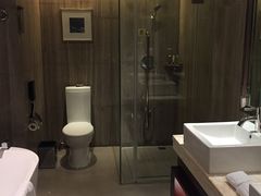 -常州环球恐龙城维景国际大酒店