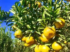 -长泰漂流水陆空景区