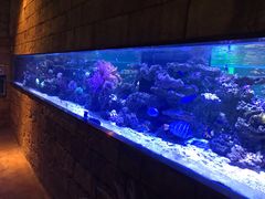 -zoonana室内动物园(东方福来德店)