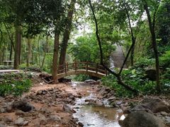 -火炉山森林公园