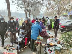 -中环花鸟鱼虫市场