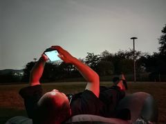 -铁山坪森林公园