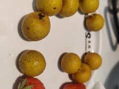 -苏格里岛自助烤肉海鲜火锅(成都金牛万达店)