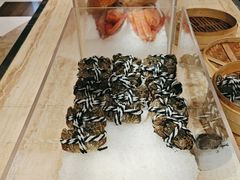 -城市节奏餐厅(海外滩·名品汇店)
