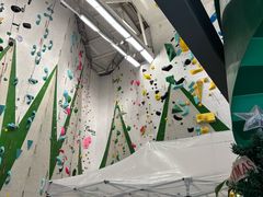 -绿壁虎攀岩基地(Tcar店)