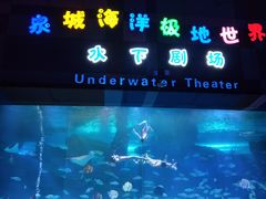 -泉城欧乐堡海洋极地世界