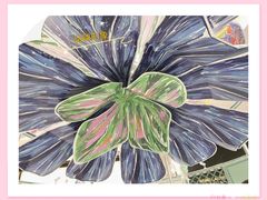 -DFS迪斐世(澳门新濠天地店)