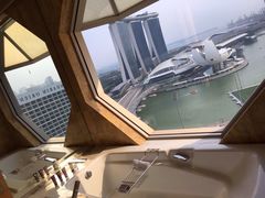 -新加坡丽思卡尔顿美年酒店