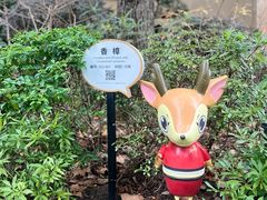-上海兴国宾馆香樟园西餐厅