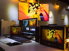 -上海盛视天橙传媒股份有限公司