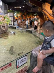 -Zoolung Zoolung动物主题公园(海信广场店)