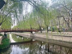 -元大都城垣遗址公园