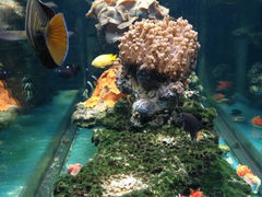 iphone_upload_pic-金象湾泰国餐厅(华林路店)