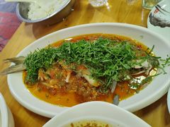 -老字号怡玺·藿香雅鱼(20年雅安店)