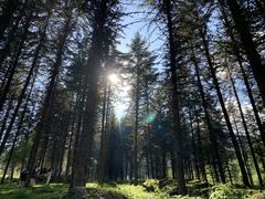 -硗碛藏寨·神木垒景区