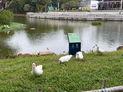 -惠州西湖风景名胜区-丰渚园