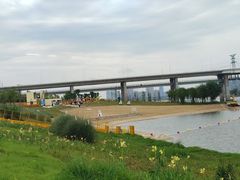 -九龙湖公园