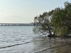 -宝安西湾红树林湿地公园