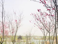 -江苏三台山国家森林公园