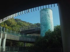 -福道