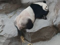 -宁波野生动物园