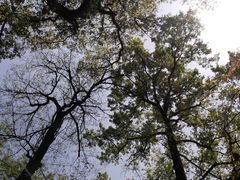 -杭州植物园