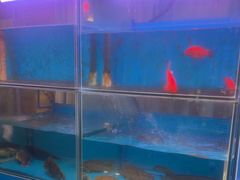 -一品江南韵·淮扬菜