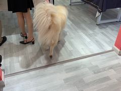 -肆兮眼镜·蔡司·徕卡战略合作店(大坪店)