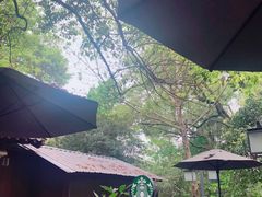 -星巴克(杭州北山路店)