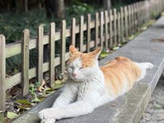 -西园寺素食(西园弄戒幢律寺店)