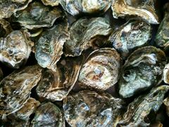 -邹记·美食(斗门店)