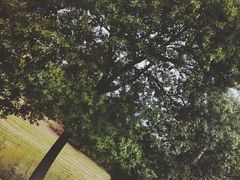 -常州大学怀德学院