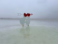 -青海茶卡盐湖文化旅游发展股份有限公司