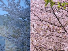 -龙美术馆(西岸馆)