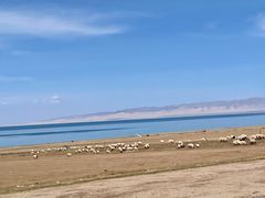 -青海湖国家重点风景名胜区