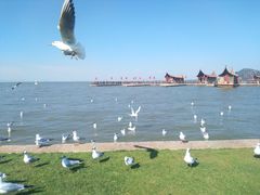 -七彩云南欢乐世界