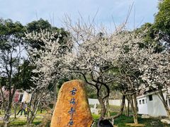 -无锡梅园公园