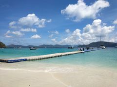 -珊瑚岛