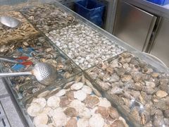 -半岛听涛蒸汽海鲜自助(K11店)