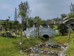 -王借岗森林公园