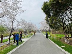 -长田漾湿地公园